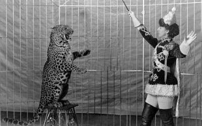 5 Most Dangerous Circus Acts Gone Wrong