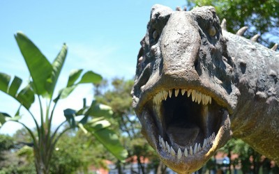 5 Biggest Dinosaur Myths