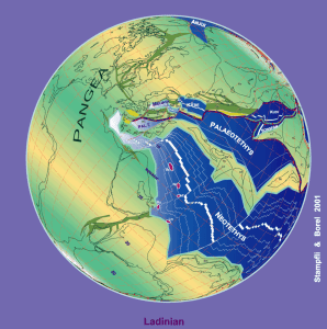 596px-230_Ma_plate_tectonic_reconstruction