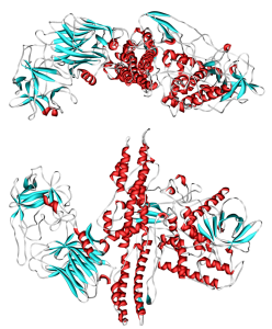 Botulinum_toxin_3BTA