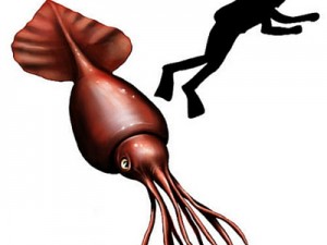 Colossal Squid - Giant Sea Creatures - 400px x 300px