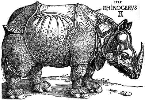 Dürer_-_Rhinoceros