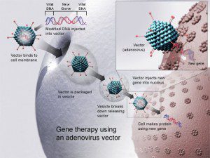 Gene_therapy