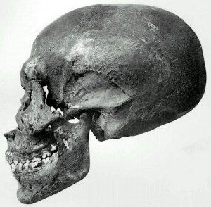 KV55_scull