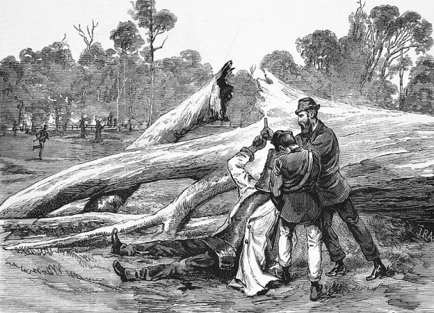 10 Deadly Australian Outlaws And Bushrangers Eskify 