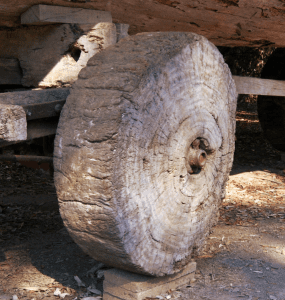 Wheel Roue_primitive