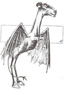 jersey_Devil