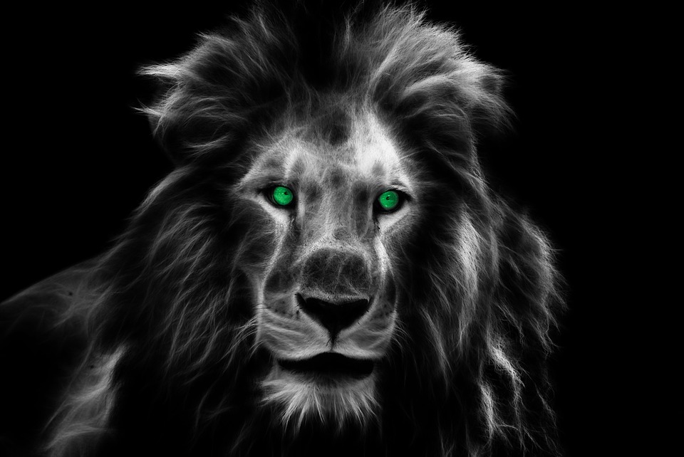 lion ghost