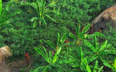 10 Uncontacted Tribes Avoiding Civilisation