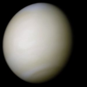 Venus-real_color extraterrestrial life