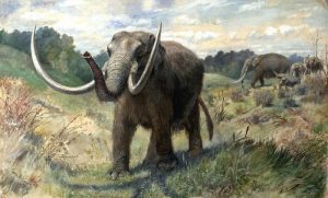 Knight_Mastodon extinct animals