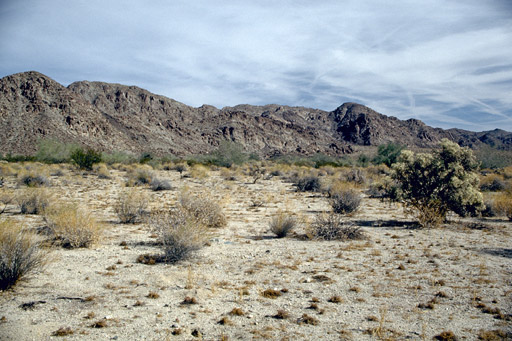 Coloradodesert (1)