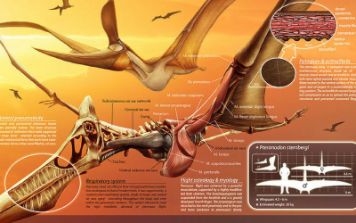 10 Dinosaur Facts That Will Blow Your Mind