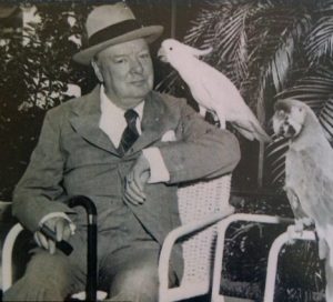 Winston Churchill Speeches Jungle_Island_Winston_Churchill