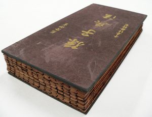 ancient texts-Bamboo_book_-_closed_-_UCR