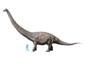 Dreadnoughtus_NT_small