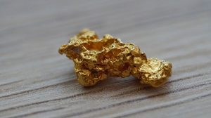 gold nugget Royal Charter