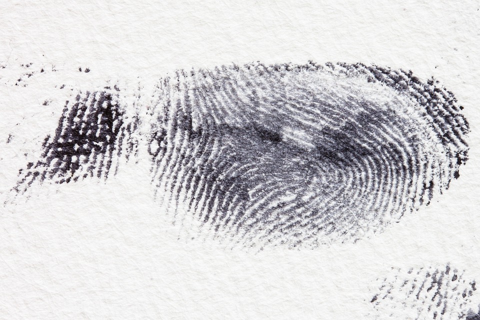 fingerprint-255897_960_720