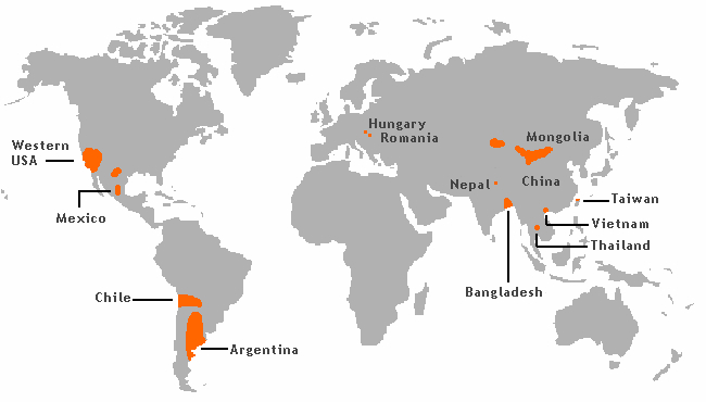 Arsenic_contamination_areas