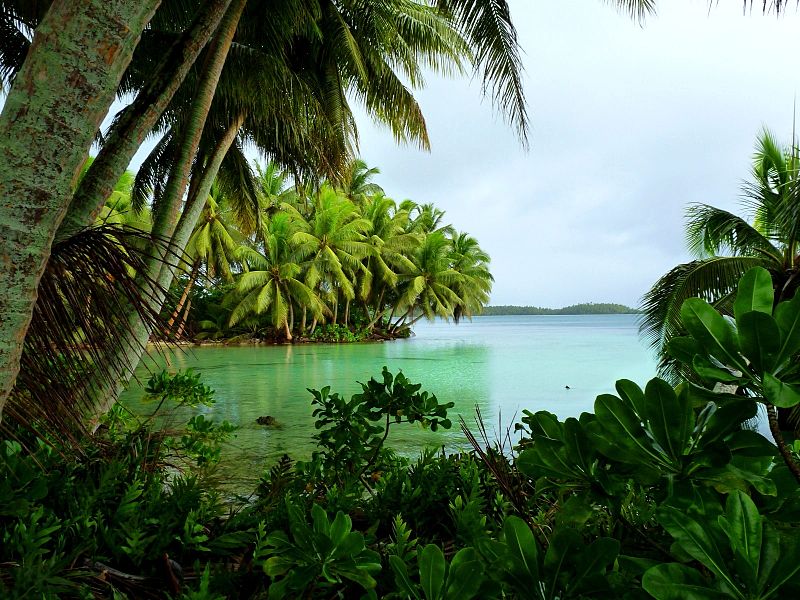 Palmyra Atoll treasure