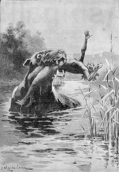 Bunyip cryptid 