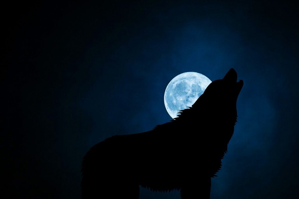 Werewolves from history