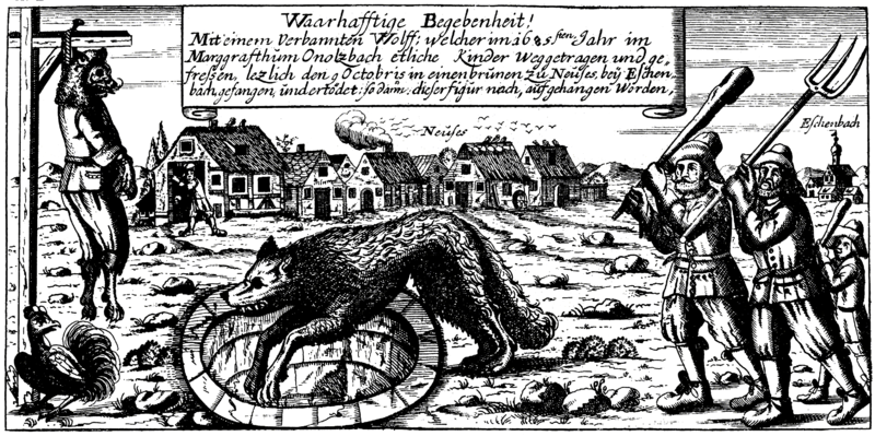 Medieval werewolves