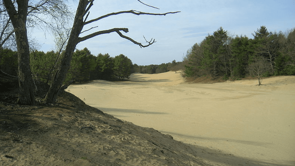 The desert of Maine