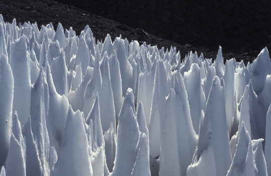 The winter phenomena known as penitentes