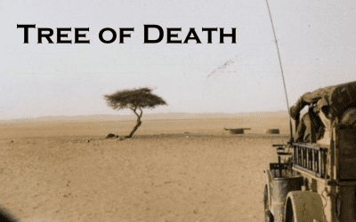 10 Most Mysterious Trees In The World